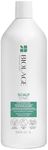 BIOLAGE Scalp Sync Anti-Dandruff Sh