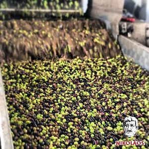 NIKOLAOS Extra Virgin Olive Oil, 3L – Cold Pressed Greek Olive Oil