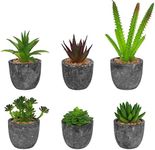 BELLE VOUS Grey Mini Succulent Plants in Pots (6 Pack) - Assorted Plastic Artificial Faux Fake Potted Cactus & Succulents in Plant Pots - Decorative Use for Home, Office, Table & Bathroom