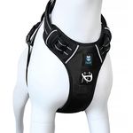 HANK Dog Harness for Small Dogs - 3M Night Reflective - Oxford Fabric - Adjustable Dog Belts - Chest (Min 17 - Max 22" inches) (Small, Black)