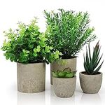 Belle Vous 4 Pack of Artificial Indoor Potted Plants - Small Fake Plastic Eucalyptus, Snake Tongue Grass & Succulent Plants - Faux Greenery for Office, Desk/Table, Bedroom, Kitchen, or Home Decoration