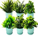 Dekorly Plastic 6 Packs Fake Plants Small,Mini Artificial Plants Indoor For Home Farmhouse Bathroom Shelf Décor(Height : 17Cm,Light Blue)