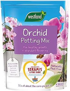 4L Orchid 