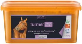 The Golden Paste Company TurmerItch