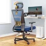 Dripex Ergonomic Office Chair, High