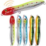 Dovesun Catfish Float Rigs with Catfish Rattles Rattling Catfish Tackle for Bank Fishing Santee Rig B-Catfish Rattling Floats * 6PCS