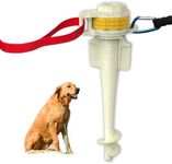 DIGGO Dog Stake- Essential Beach Accessory for All Dog Sizes,Unique 360° Rotating Head with a Smart Locking System and an Umbrella Sand Anchor, Heavy Duty Tie Out Stake, Designed for The Beach