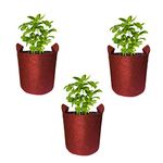 Bombay Greens ; Sow, grow, eat, repeat Geo Fabric Grow Bags Premium 350 Gsm Bags For Terrace Kitchen Gardening - Set Of 3 8X8 Inches - Red