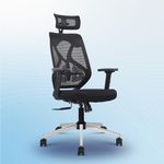 Vergo Transform Prime Ergonomic High Back Mesh Office Chair | Lumbar Support, Adjustable 2D Armrests, Multi Lock Synchro Mechanism, Metal Base | Home Office Desk Chair, 3 Years Warranty (Black)