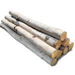 Wilson Decorative White Birch Extra Long Large Bundle, Natural Bark Wood Log Home Décor - 23"- 24" in Length 1.5"-3" Dia. (Set of 8)