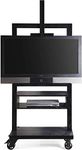 Posh Pollen Cullen Easel Style Entertainment Console - Black