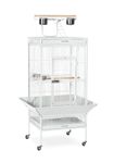 Prevue Hendryx 3152C Pet Products Wrought Iron Select Bird Cage, Chalk White, 24'' x 20'' x 60''