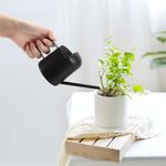 LINGSFIRE Small Watering Can for Indoor Plants, 10oz/300ml Watering Can Indoor Plants, Long Spout House Plant Watering Can, Stainless Steel Black Watering Can for House Plants, Bonsai, Succulent