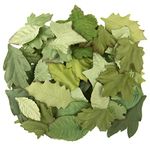 Darice 30062084 Leaf Floral Embellishments: Green, 60 Pack