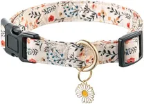 Raisingwell Cute Dog Collar Beige Flower Pattern for Boys and Girls Holiday Dog Collars Summer Fall Gift Adjustable for Small to Medium Breed Dogs (XS)