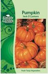 Simply Garden Pumpkin Jack O’Lanter