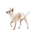 Amazon Basics Male Dog Wrap, Dispos