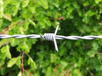 SURYODAY Barbed Wire for Fencing in 1500 FEET Lenght for Fence, Poles, Trees, Antennae, Wire with Hooks(Kanta Taar) IN 13 GAUGE (50 KG)