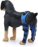 Dog Knee Brace Adjustable Dog Doubl