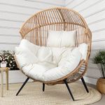 Shintenchi Wicker Egg Chair Outdoor
