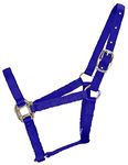 Hamilton 3/4-Inch Nylon Quality Horse Halter, Weanling or Large Pony, 200-300-Pound, Blue