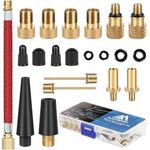 flintronic 21 Pack Bicycle Valve Adapter Kit Bicycle Pump Adapter with Ball Pump/Air Pump/Compressor Adapter Bicycle Valve Adapter Tire Valve Cap, DV SV AV Bicycle Valve Adapter