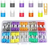 VIYNRAN 120 Pcs Mini Car Fuses Asso