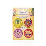 Lip Balm Tin Sample Pack