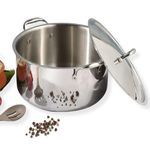 Vinod Platinum Triply Stainless Steel Biryani Pot with Lid - 11 Litre, 30 cm | Heavy Bottom | Riveted Handle| Cooking Pot | Induction and Gas Base | 5 Year Warranty - Silver