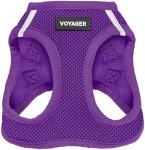 Voyager Step-in Air Dog Harness - All Weather Mesh, Step in Vest Harness for Small and Medium Dogs by Best Pet Supplies - Purple (Matching Trim), XXXS (Chest: 9.5 - 10.5" * Fit Cats) (207T-PPW-XXXS)