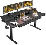 ErGear Standing Desk with Drawers, 63 x 30 Inches Height Adjustable Desk with Storage, Electric Sit Stand Desk, 4 Memory Preset Computer Home Office Desk with Cable Management Tray, Black
