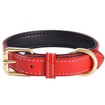 Genuine Leather Padded Dog Collar Comfortable Strong Soft Collars Best for Small Medium and Large Breed Dogs (Red)(L)