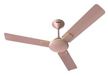 Havells 900mm Enticer Energy Saving Ceiling Fan (Rose Gold, Pack of 1)