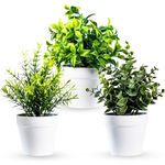 5 Star Mart Artificial Plants Indoors in Pots Plastic Potted, Eucalyptus, Rosemary, Small Fake Succulents Faux Plants for Office Desk Bedroom Kitchen House Decoration