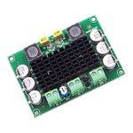 Belfin TPA3116D2 Mono 100W Audio Amplifier Board 12V to 24V Class D Module