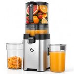 AMZCHEF Cold Press Juicer Machine, 6.5" XL Feed Chute, 600W DC Motor, Slow Masticating Juicer with Pre-Cut Blade, 2 Strainers for Juice, Nut Milk & Sorbet, High Juice Yield, Easy to Clean