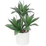 DILATATA Large Artificial Succulent Plants Fake Three-Head Agave Succulent Plant Potted 15" Faux Plant in White Pot Succulent Aloe Plant Indoor for Home Office Living Room Table Shelf Decor