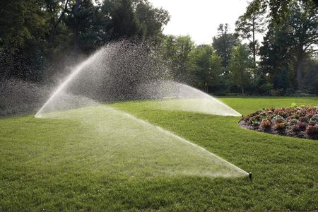 Rain Bird In-Ground Automatic Sprinkler System Kit – Easy Install, Black