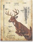 Apple Creek Whitetail Deer Bow Arro