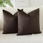 JOTOM Soft Velvet Decorative Throw Pillow Covers 50x50 cm Solid Cushion Covers 20x20 Inch Cushion Case Square Pillow Cases for Couch Sofa Living Room Bedroom Home Decor Set of 2 (Chocolate Brown)