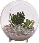 Panacea Terrarium W/FEET 10.25" D