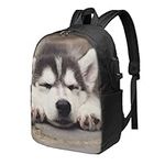 ELBULL Lightweight Casual Husky Dog