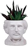 Edgar Allan Poe Bust Ceramic Plante