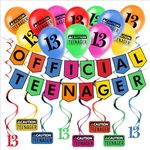 Funny Official Teenager 13th Birthday Party Pack - Multicolor 13th Birthday Party Supplies, Decorations and Favors