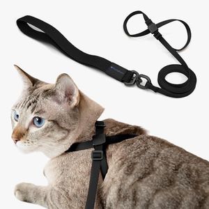 BuddyArmor Cat Harness and Leash 2-in-1, Escape Proof Anti-Chocking Harness Adjustable Lighweight Leash Walking Outoor Training for Kitten Small Large Cats Puppy, US IDA Bronze Award (Midnight Black)