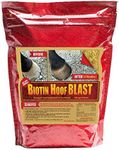 Hoof Supplements for Horses - Bioti