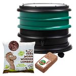 WORMbox | Wormery Worm Farm composter 2 Dark green Trays + 250gr of Compost Worms / 500 ctn + 1 Coco | 32 liters | Organic Waste Compost, make your Worm Castings