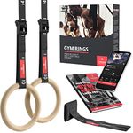 Olympic Gymnastic Rings