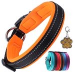 Padded Dog Collars