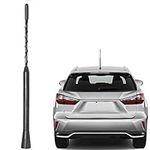 Anina 9 Inch Car Radio Antenna Mast